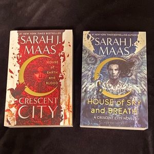 Crescent City series by Sarah J Maas